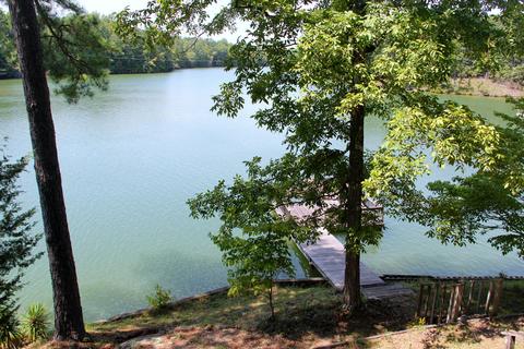120 Plum Dr, Equality, AL 36026 photo 23