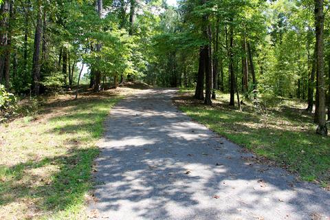 120 Plum Dr, Equality, AL 36026 photo 11