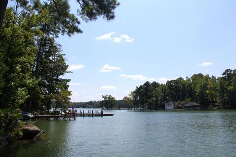 120 Plum Dr, Equality, AL 36026 photo 54