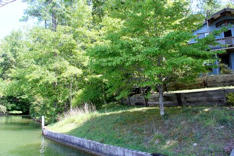 120 Plum Dr, Equality, AL 36026 photo 52