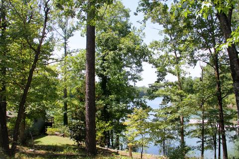 120 Plum Dr, Equality, AL 36026 photo 13