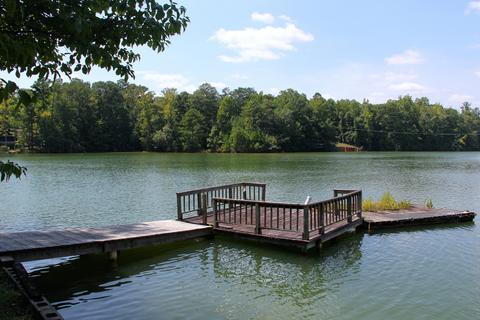 120 Plum Dr, Equality, AL 36026 photo 50