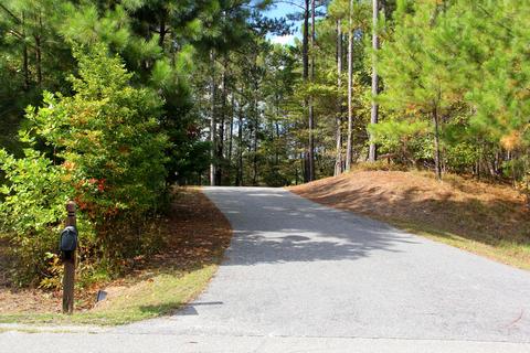 550 Longpine, Eclectic, AL 36024 photo 65