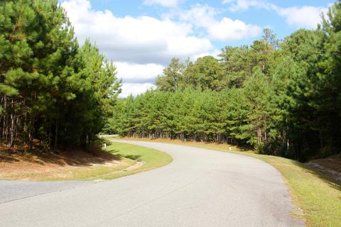 550 Longpine, Eclectic, AL 36024 photo 73