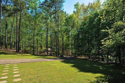 24 Pine Pt, Eclectic, AL 36024 photo 42