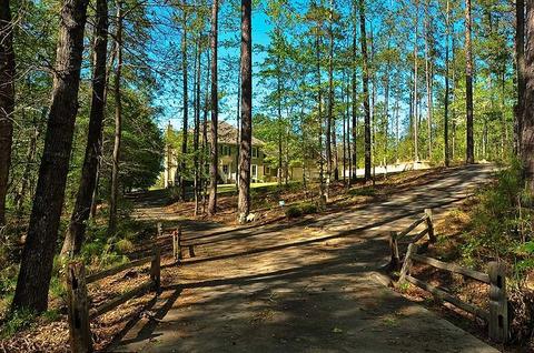 24 Pine Pt, Eclectic, AL 36024 photo 41