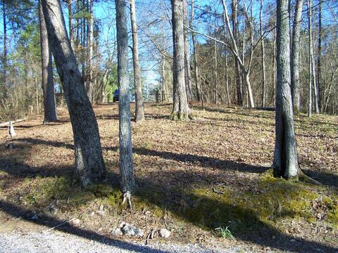 825 Quarry Rd, Eclectic, AL 36024 photo 26
