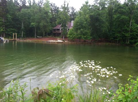 128 Orchid Dr, Equality, AL 36026 photo 6