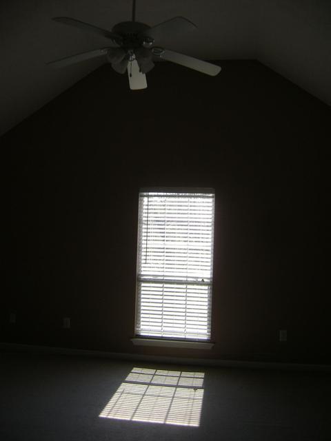 83 Nero Rock Rd, Eclectic, AL 36024 photo 14
