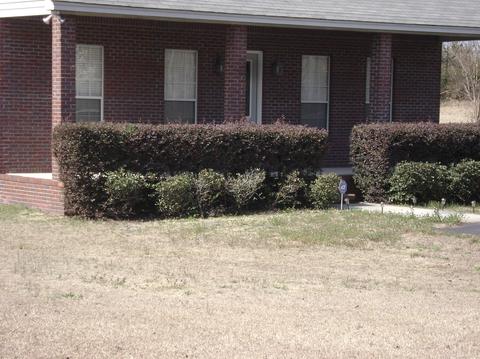 83 Nero Rock Rd, Eclectic, AL 36024 photo 2