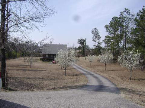 83 Nero Rock Rd, Eclectic, AL 36024 photo 1