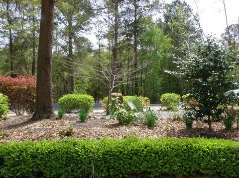 100 Easy St, Eclectic, AL 36024 photo 45