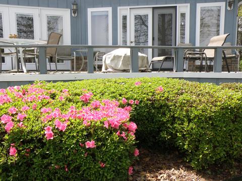 100 Easy St, Eclectic, AL 36024 photo 42