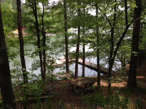 414 Needle Eye Rd, Equality, AL 36026 photo 14