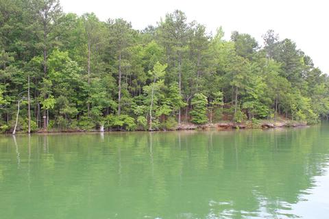 lot21 Cedar Pt, Equality, AL 36026 photo 3