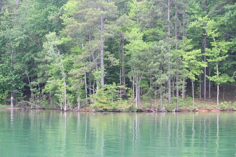 211 Cedar Dr, Equality, AL 36026 photo 5