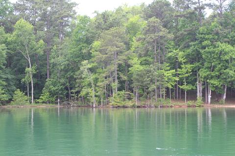 211 Cedar Dr, Equality, AL 36026 photo 4