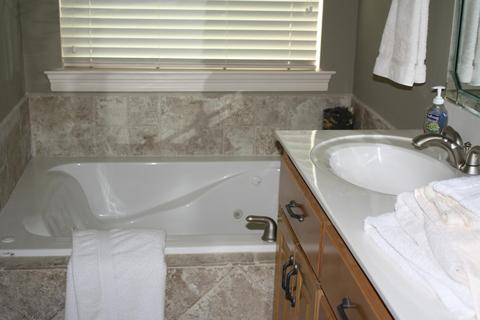 120 Pine Dr, Eclectic, AL 36024 photo 9