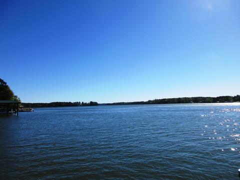 338 Carnation Dr, Equality, AL 36026 photo 5