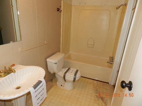 25 Carr, Eclectic, AL 36024 photo 20