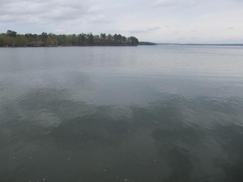 310 Point Rd, Eclectic, AL 36024 photo 8