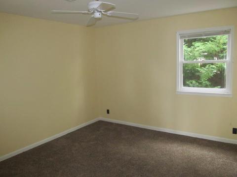 310 Point Rd, Eclectic, AL 36024 photo 14