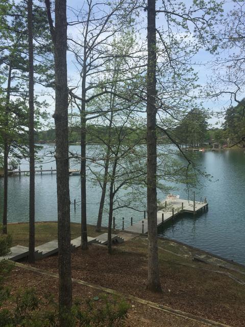 100 Ruby Ln, Equality, AL 36026 photo 17