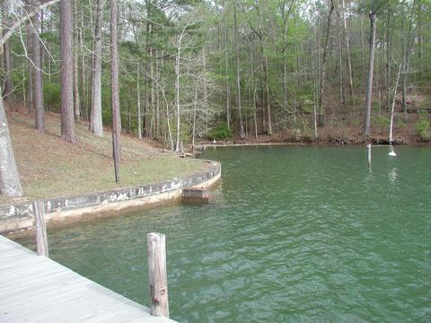 100 Ruby Ln, Equality, AL 36026 photo 7