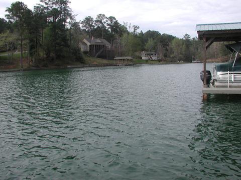 100 Ruby Ln, Equality, AL 36026 photo 9