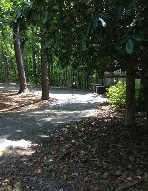 265 Carr Rd, Eclectic, AL 36024 photo 18