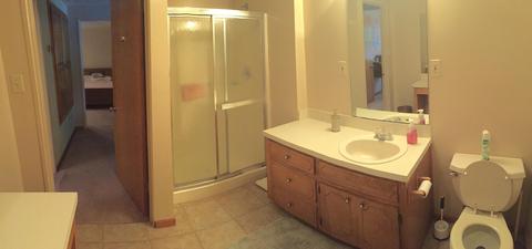 265 Carr Rd, Eclectic, AL 36024 photo 14