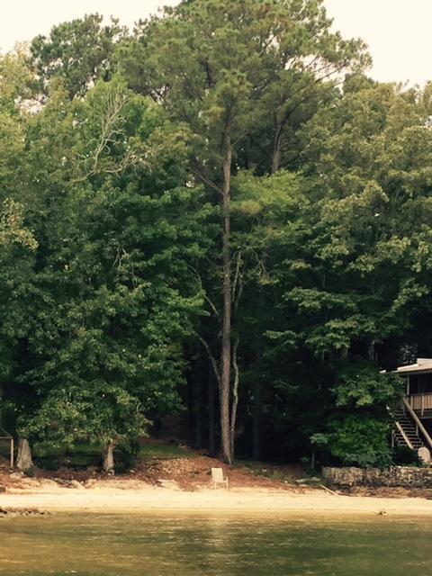 5 Hill Dr, Eclectic, AL 36024 photo 39