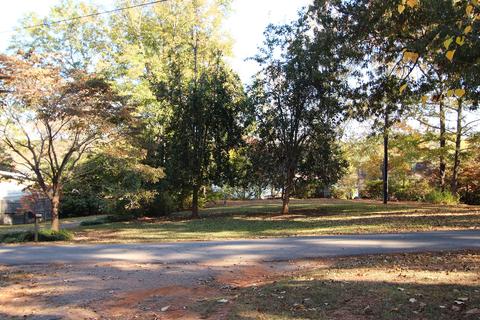 1013 Point Cloxson Cir, Jacksons Gap, AL 36861 photo 6