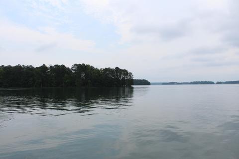 1401 Tee Rd, Equality, AL 36026 photo 5