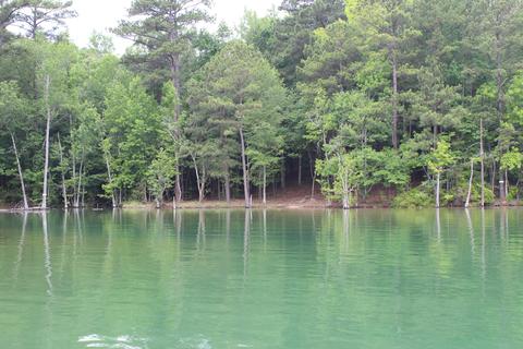 1401 Tee Rd, Equality, AL 36026 photo 4