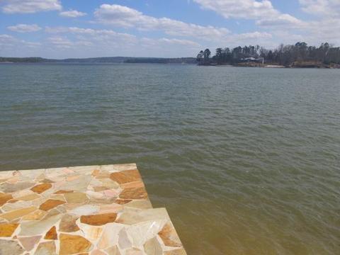92 Castaway, Eclectic, AL 36024 photo 41