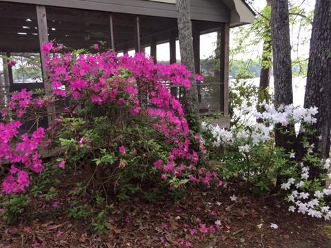 300 Carr Rd, Eclectic, AL 36024 photo 16