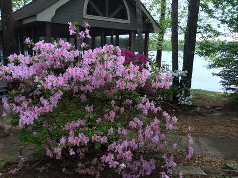 300 Carr Rd, Eclectic, AL 36024 photo 17