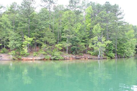 1353 Tee Rd, Equality, AL 36026 photo 4