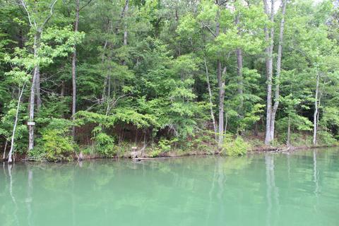 1353 Tee Rd, Equality, AL 36026 photo 5