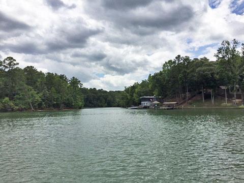 318 Lemaster Rd, Eclectic, AL 36024 photo 27