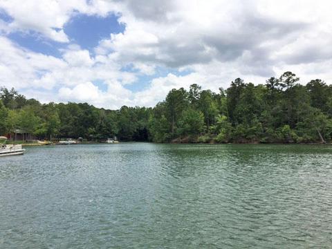 318 Lemaster Rd, Eclectic, AL 36024 photo 2
