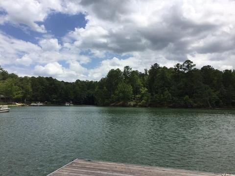 318 Lemaster Rd, Eclectic, AL 36024 photo 28