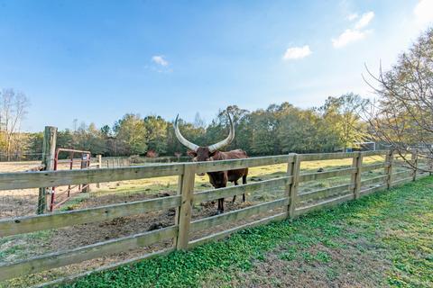 3945 Claud Rd, Eclectic, AL 36024 photo 36