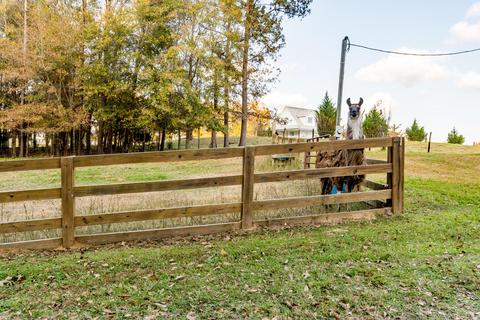 3945 Claud Rd, Eclectic, AL 36024 photo 4
