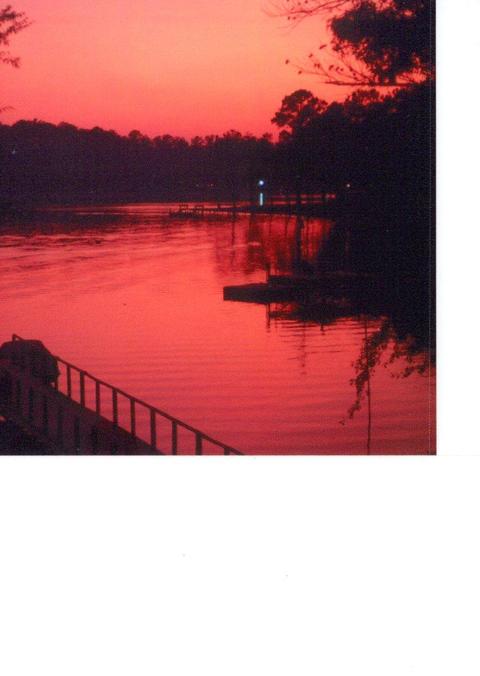 90 B-hive Dr, Equality, AL 36026 photo 10
