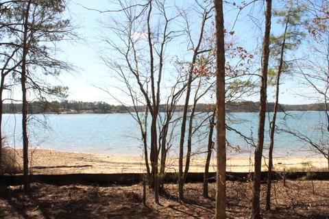 138 Canoe Pt, Equality, AL 36026 photo 6