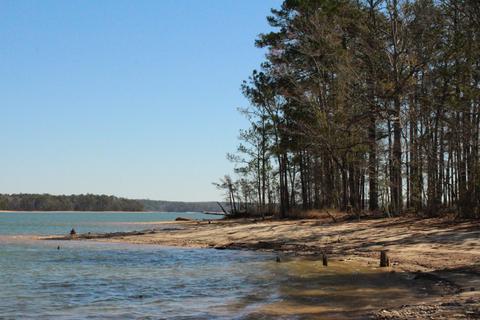 151 Canoe Pt, Equality, AL 36026 photo 17