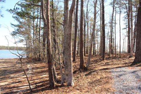151 Canoe Pt, Equality, AL 36026 photo 11