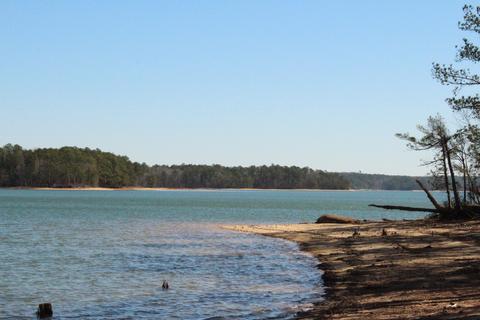 151 Canoe Pt, Equality, AL 36026 photo 6
